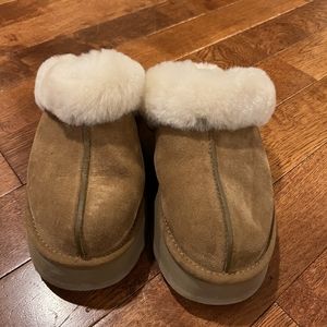 UGGs Disquette in EUC